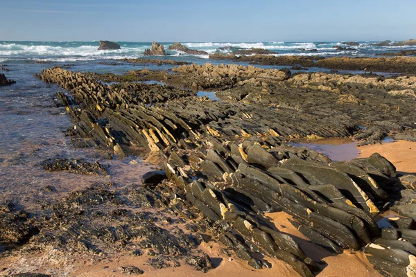 Deniz kıyısının güzel manzarası