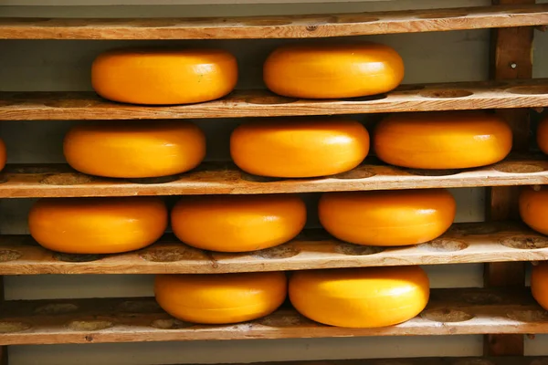 Peynir daireleri raflarda, ön manzara