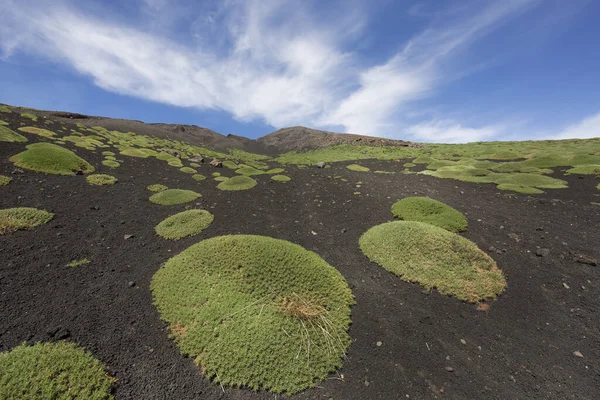 埃特纳山的火山口边缘熔岩场和陡峭的斜坡 由坚固的生存先锋植物繁茂的砾石石块制成 — 图库照片