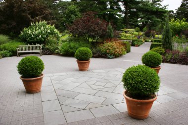 Güzel çiçekler ve bitkilerle dolu park