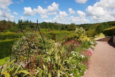 Yaz bahçesinde yetişen güzel çiçekler..