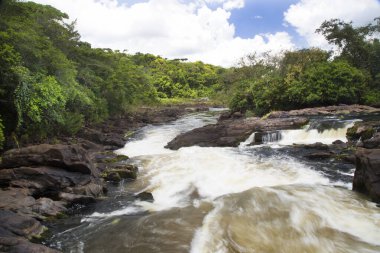 Tropikal ormanda akan kayalık nehir manzarası
