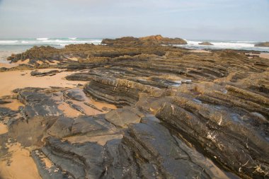 Deniz kıyısının güzel manzarası