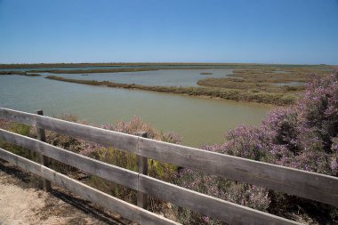 Sel basmış güneş manzarası