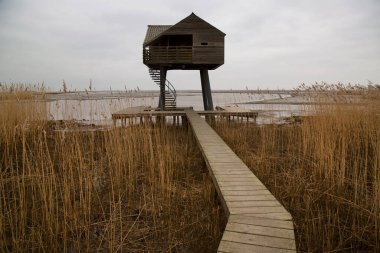 Sahildeki ahşap iskele.