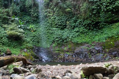 Arka planda yeşil bitkilerle güzel bir şelale.