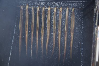 Kurumuş deniz balıklarını kapatın.