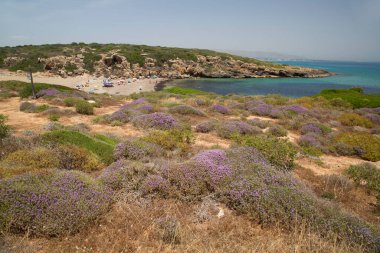 Doğanın güzel manzarası