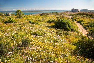 Deniz kıyısının güzel manzarası