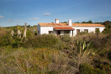 Tropik yeşilliklerle çevrili terk edilmiş bir ev.