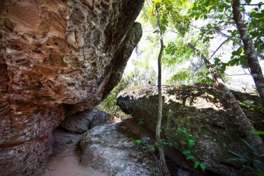 Büyük taşlar ve yeşilliklerle doğal manzara