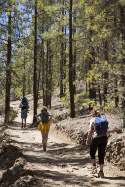 Dağlarda sırt çantalı tanınmayan turistler. Dağlarda sonbahar konsepti.