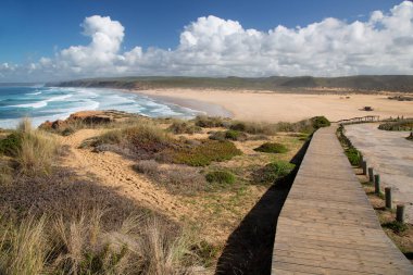 Deniz kıyısının güzel manzarası