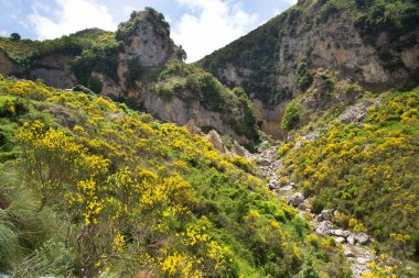 Sicilya 'nın dağları arasında çiçek açan kırsal arazi