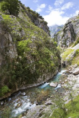 Dağ nehrinin güzel manzarası