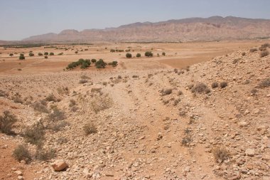 Negev Çölü manzarası