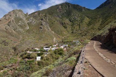 Yeşillikli kıyı kenti mimarisi manzarası