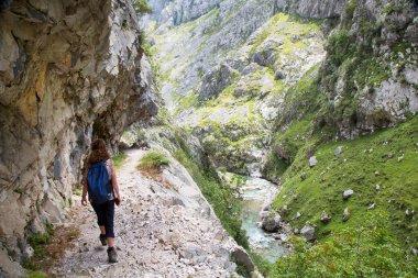 Kuzey İspanya 'da oyulmuş bir yürüyüş yolu ile dar ve sarp bir vadi boyunca iyi bilinen bir yürüyüş rotasındaki dağ yürüyüşçüleri..