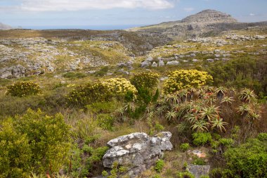Kayalık dağ manzarası çok güzel.
