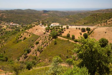 Ağaçlı ve tepeli güzel bir manzara.