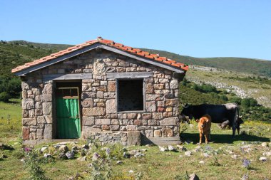Dağlarda küçük bir köy