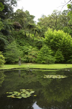 Parkın güzel manzarası
