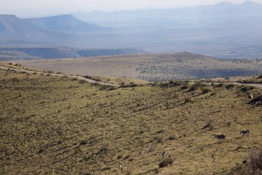 Çöldeki dağların manzarası