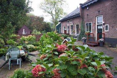 Güzel bahçedeki eski ev