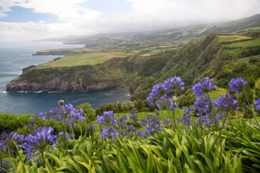 Doğanın güzel manzarası