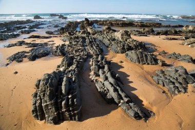 Deniz kıyısının güzel manzarası