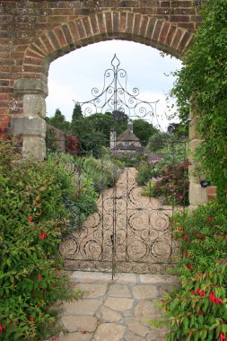 Güzel botanik fotoğrafı, doğal duvar kağıdı.