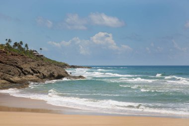 Terkedilmiş ve el değmemiş tropikal sahilde palmiye ağaçları ve kum