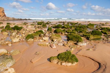 Yeşil yosunlu deniz kıyısının güzel manzarası