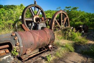 Küçük bir bitkinin paslı tekerlekleri