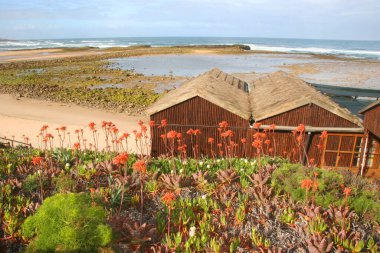 Doğanın güzel manzarası