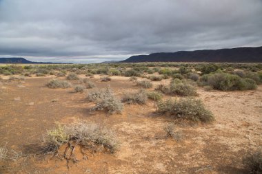 Dağ vadisinin güzel manzarası  