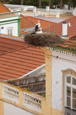 Barselona şehrinin manzarası