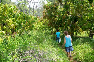 Bereketli orman sahnesindeki iki kadının arka planı, seyahat sahnesi.