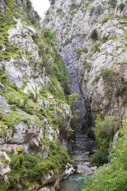 Dağ nehrinin güzel manzarası