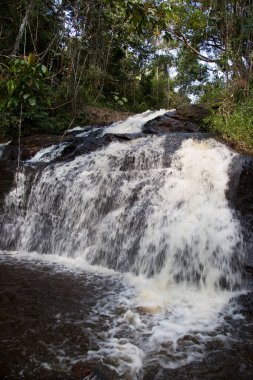 Tropikal ormanda akan kayalık nehir manzarası