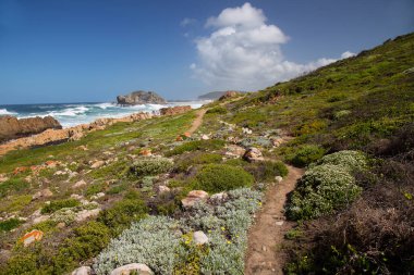 Güzel kıyı şeridi ve okyanus manzarası. 