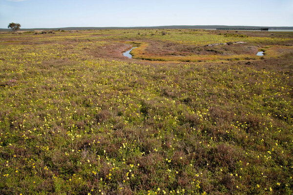 a beautiful view of the river on meadow
