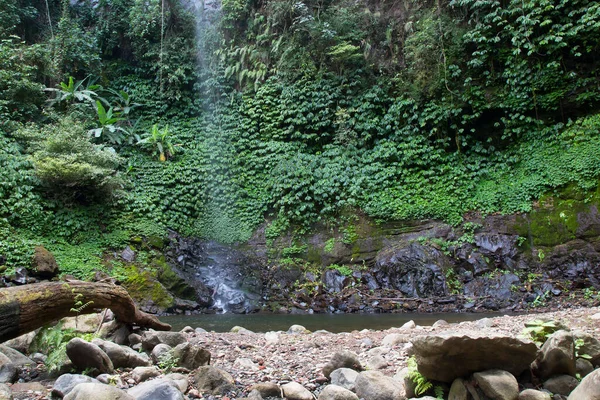 Arka planda yeşil bitkilerle güzel bir şelale.