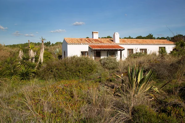 Tropik yeşilliklerle çevrili terk edilmiş bir ev.