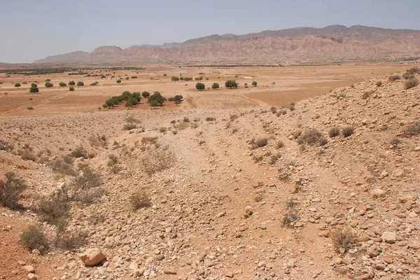 ネゲヴ砂漠の眺め — ストック写真