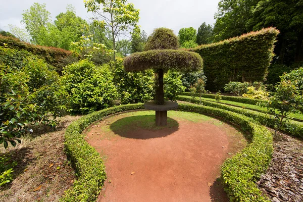 Hermoso Jardín Con Árboles Flores Verdes — Foto de Stock