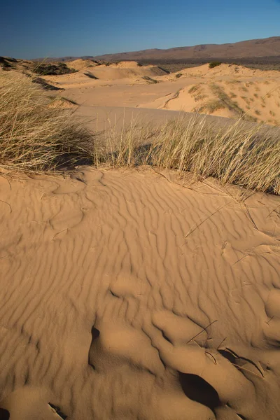 Gyönyörű Táj Sivatagi Területen — Stock Fotó