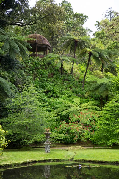 Piękny Ogród Tropikalny Parku — Zdjęcie stockowe
