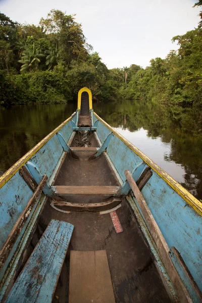 Nehir manzarası bottan yeşillikle çevrili.