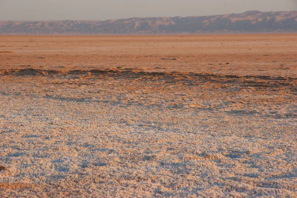 Chott el Djerid Güney Tunus 'ta büyük bir tuz gölüdür.